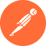 Postman Logo